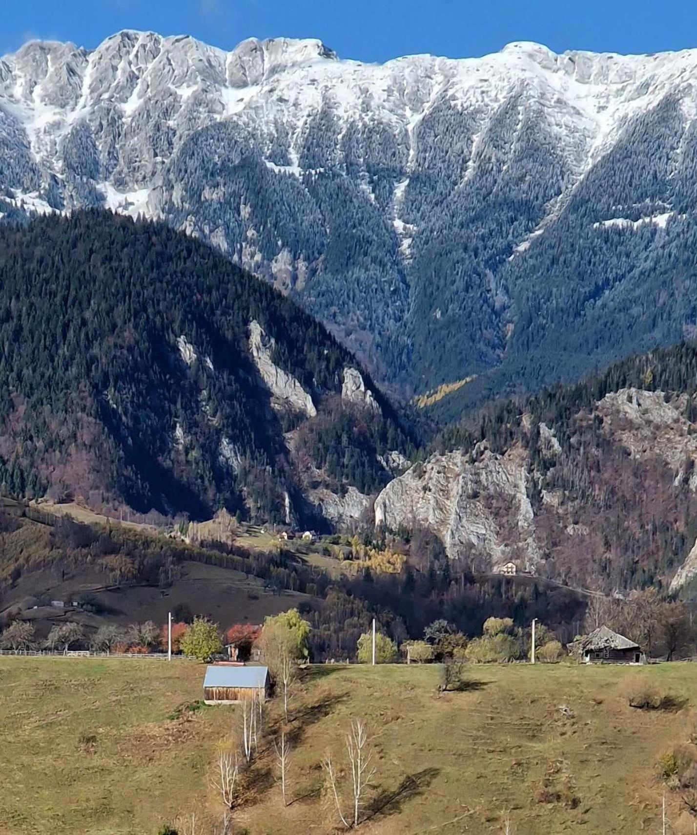 Alpine Escape Studios Măgura Buitenkant foto