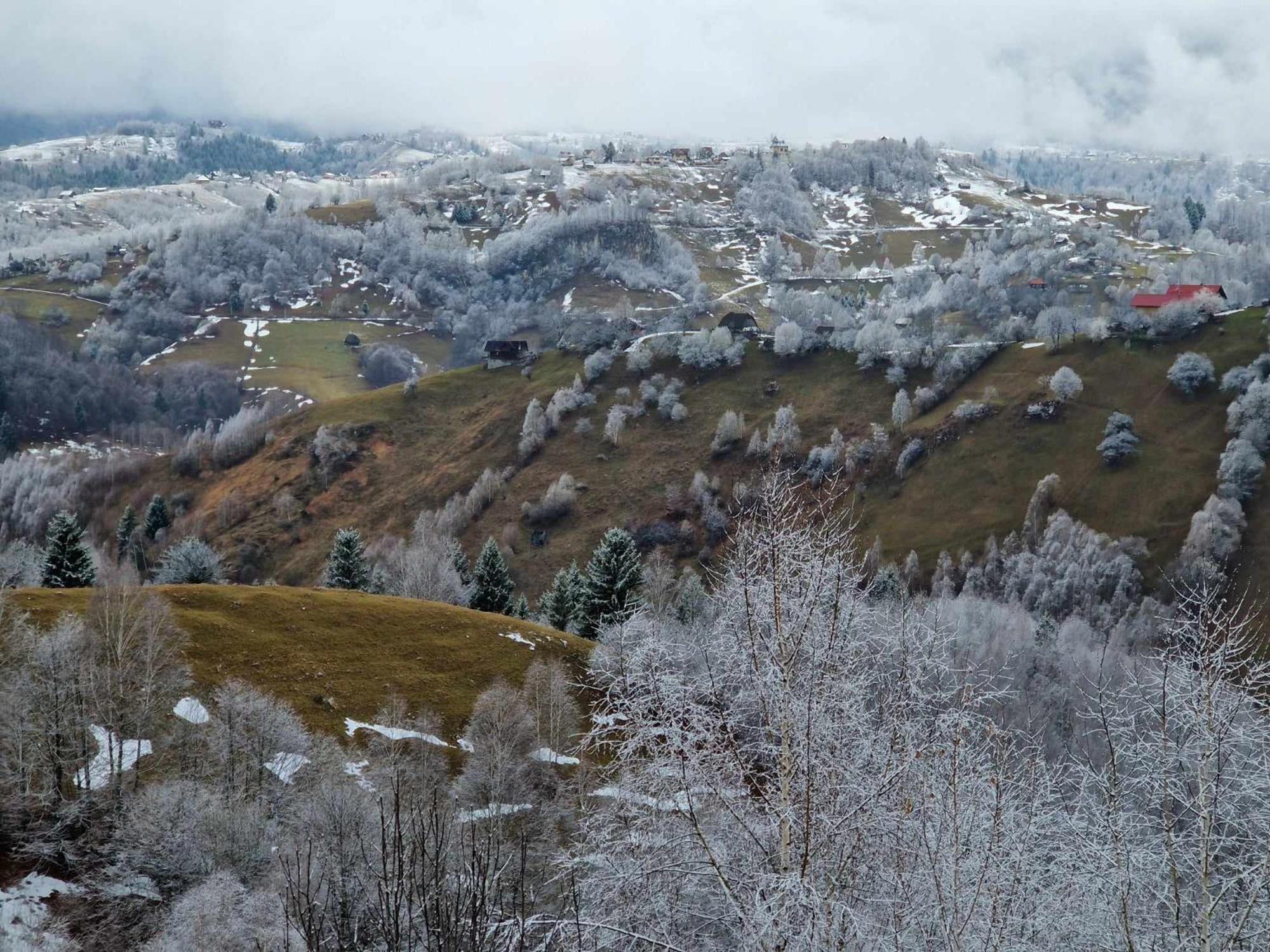 Alpine Escape Studios Măgura Buitenkant foto