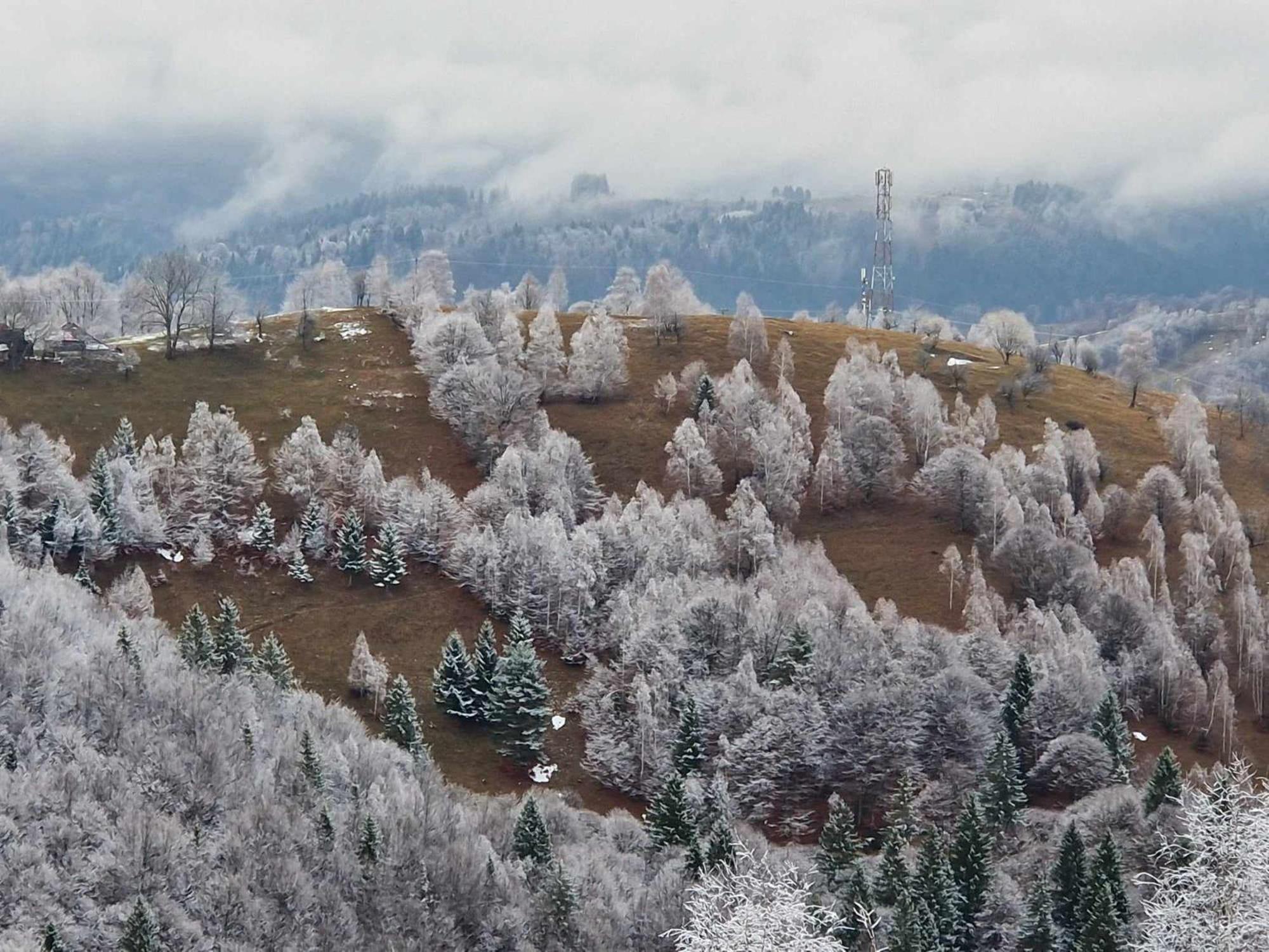 Alpine Escape Studios Măgura Buitenkant foto
