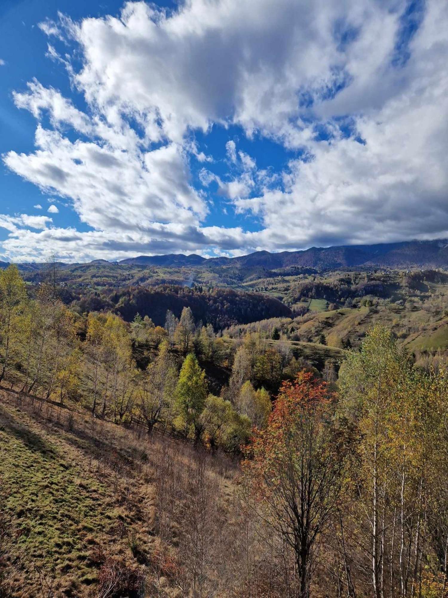 Alpine Escape Studios Măgura Buitenkant foto