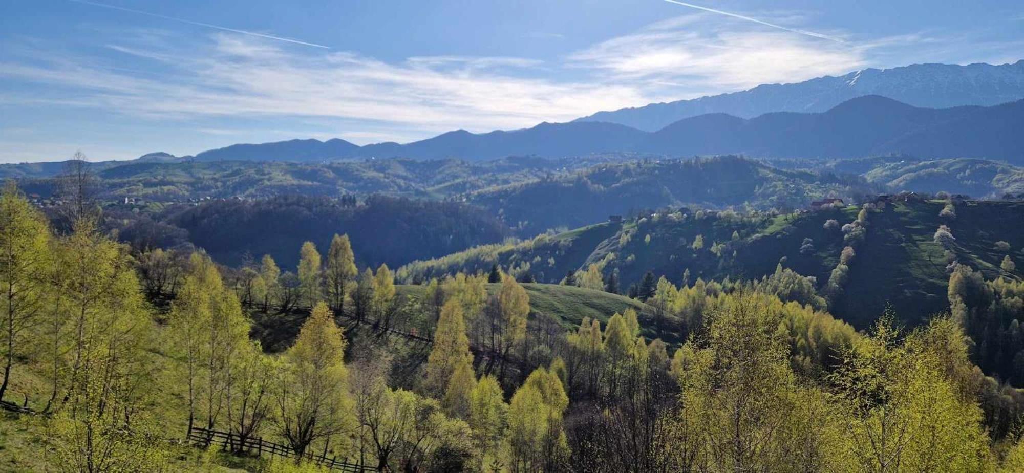Alpine Escape Studios Măgura Buitenkant foto