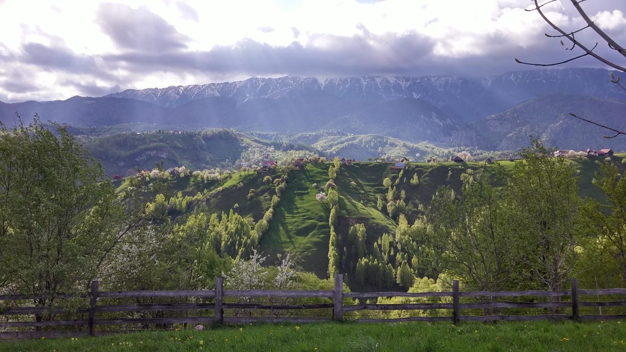 Alpine Escape Studios Măgura Kamer foto