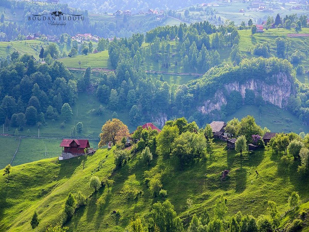 Alpine Escape Studios Măgura Buitenkant foto