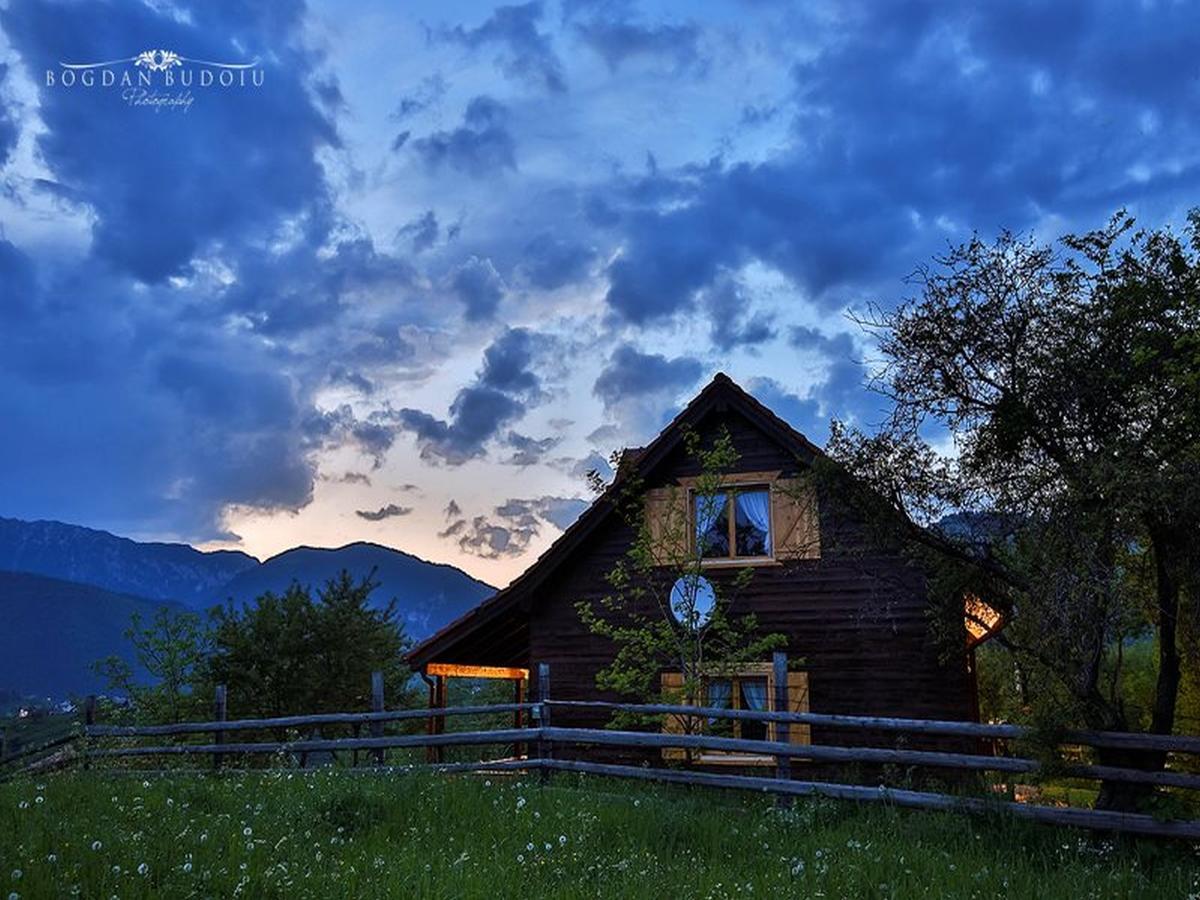 Alpine Escape Studios Măgura Buitenkant foto