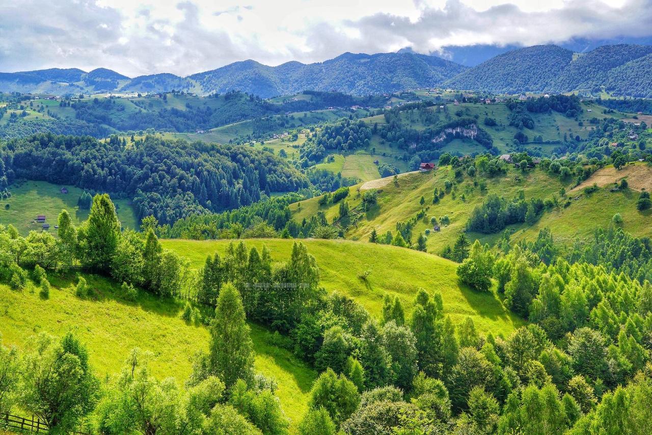 Alpine Escape Studios Măgura Buitenkant foto