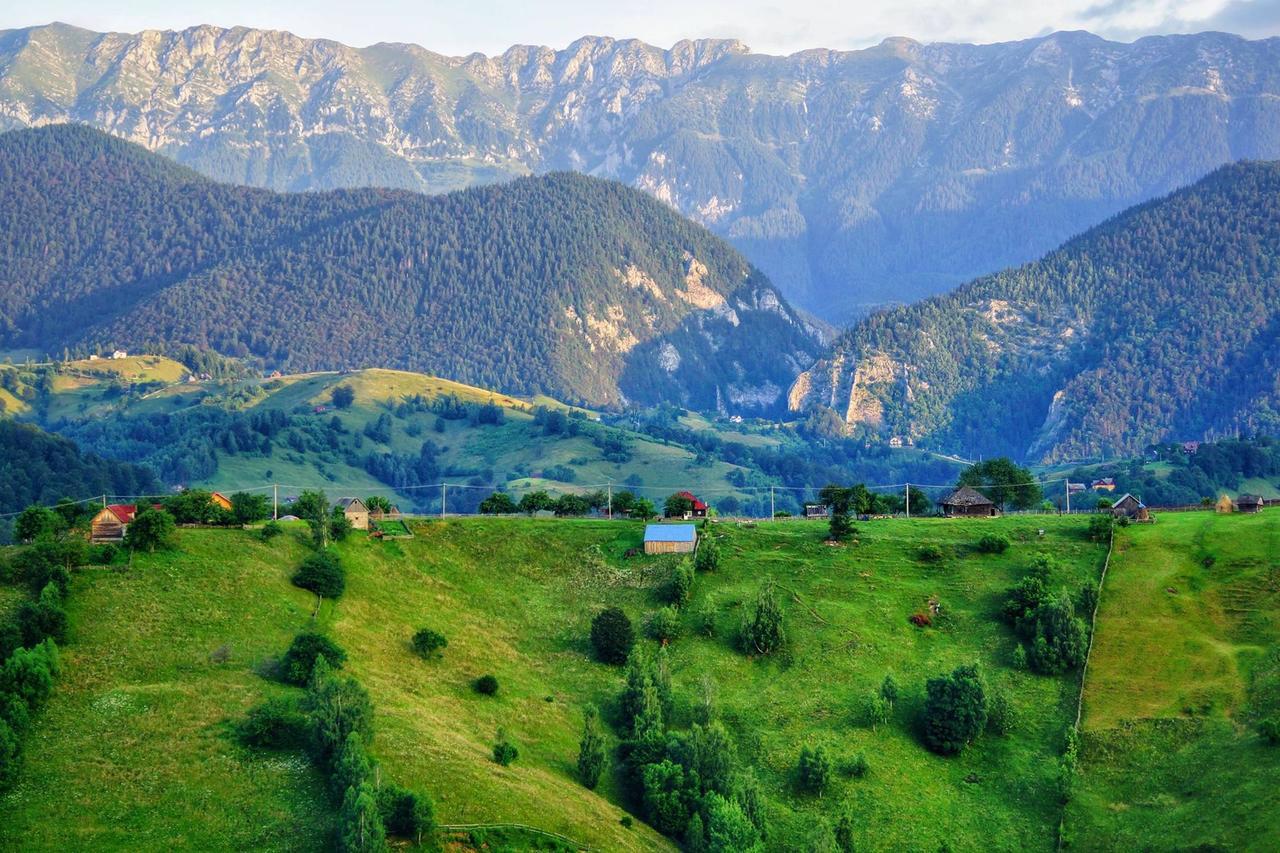 Alpine Escape Studios Măgura Buitenkant foto