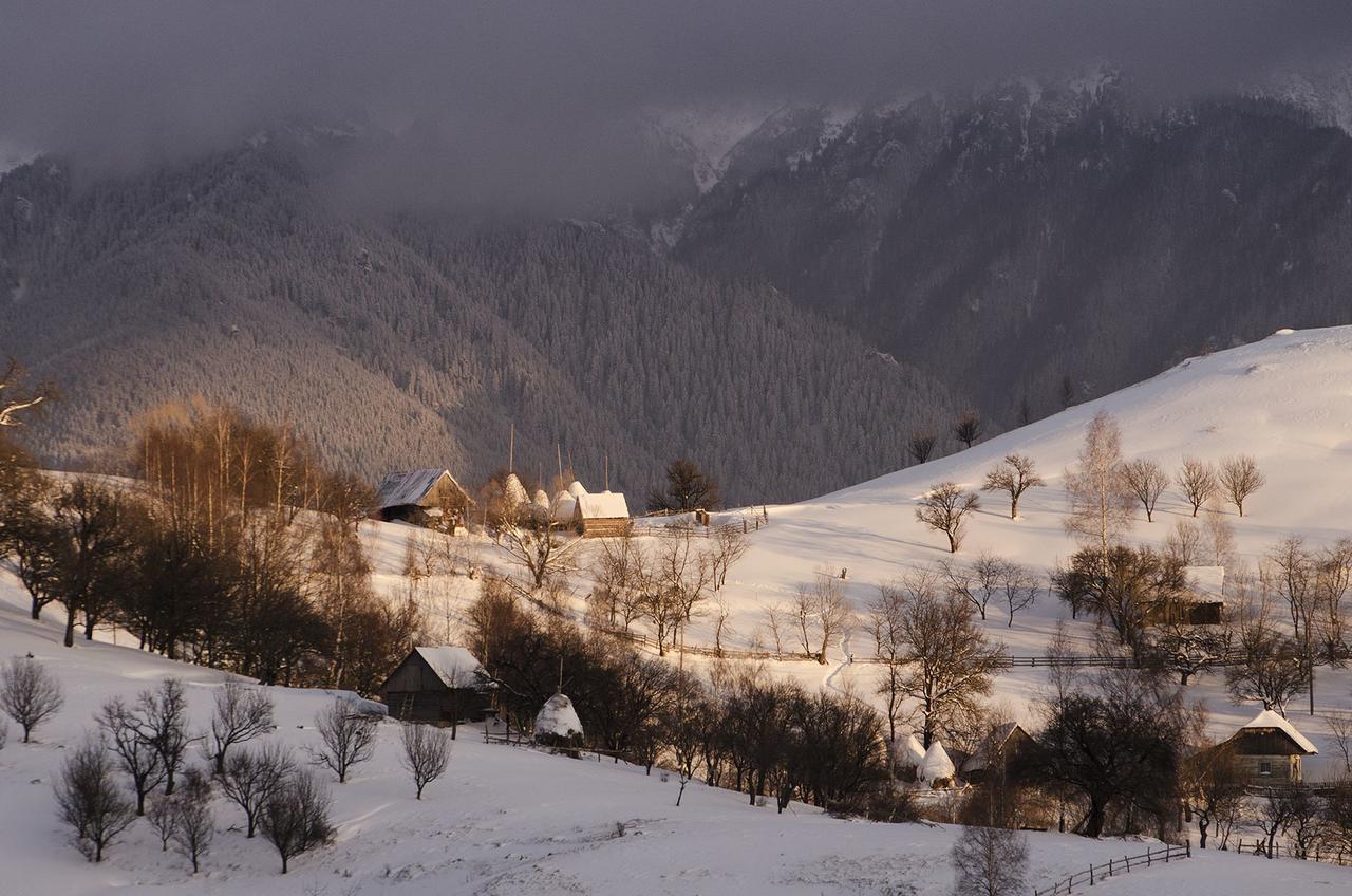 Alpine Escape Studios Măgura Buitenkant foto