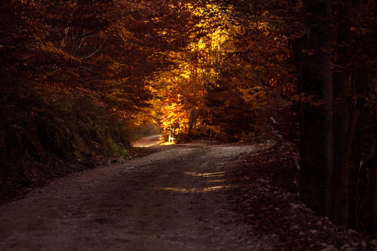 Alpine Escape Studios Măgura Buitenkant foto